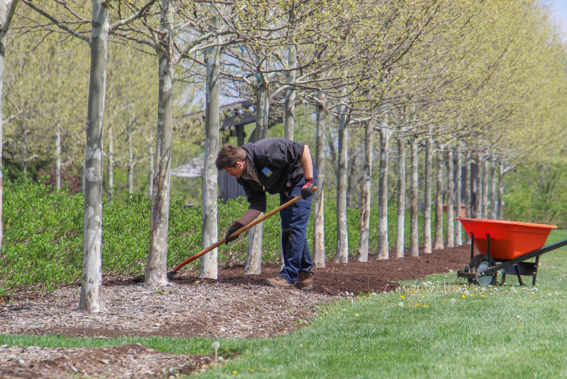 Mulching