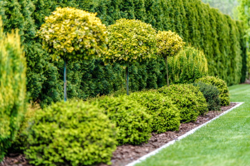 Plant Installation