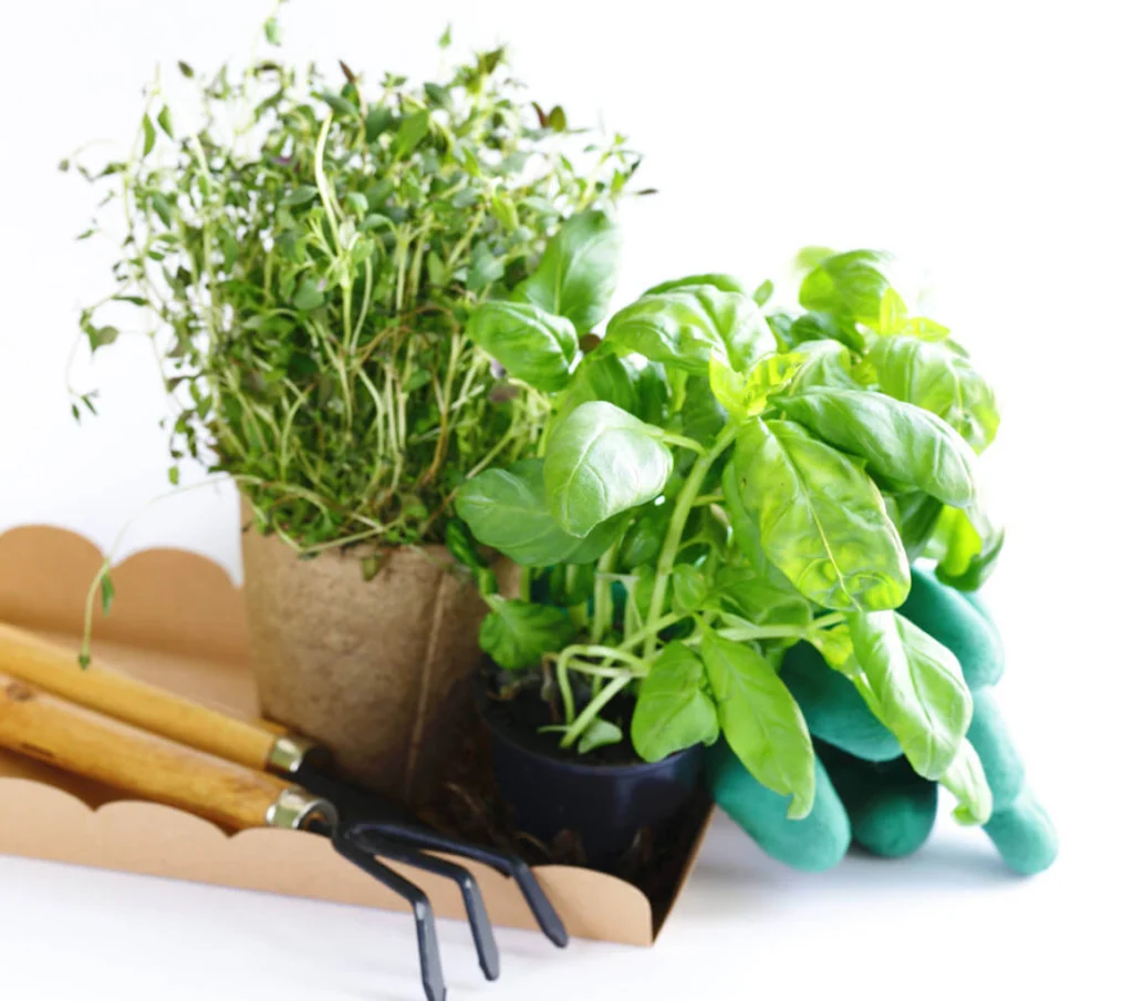 Call The Hardscape Boys for Your Free Orlando Landscaping Consultation​