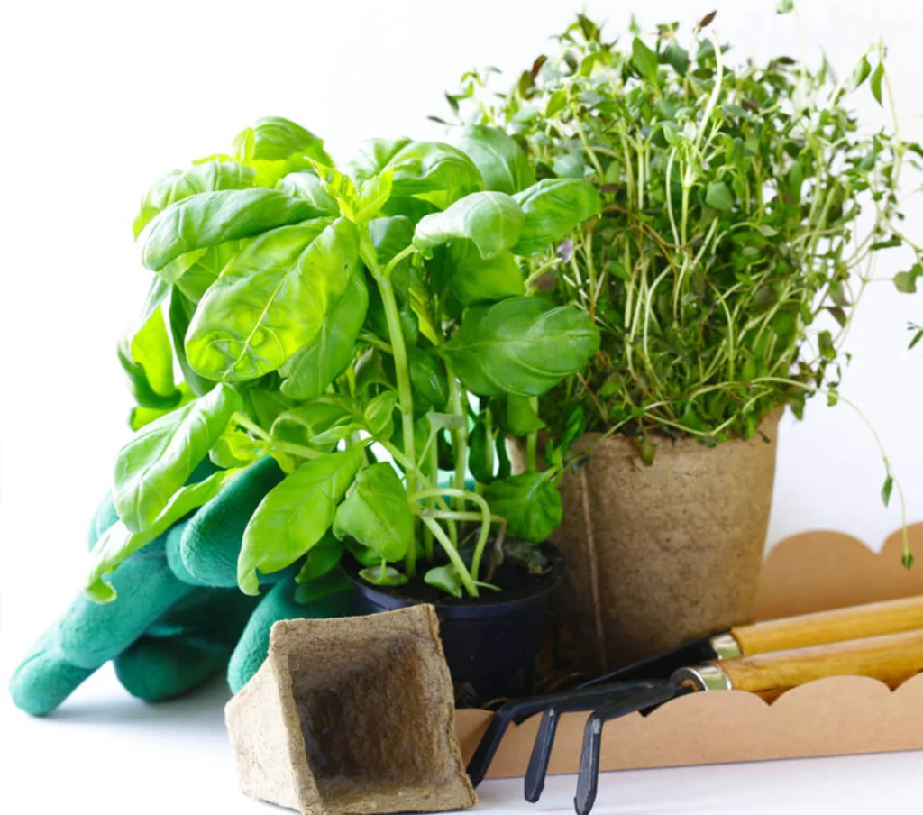 Call The Hardscape Boys for Your Free Orlando Landscaping Consultation​