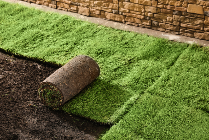 professional-sod-removal-and-installation-in-central-florida